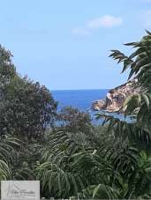 Vendita vendita, Rio