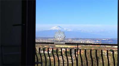 Vendita vendita, Siracusa