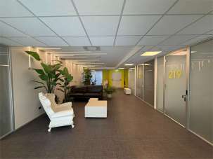 Affitto affitto, Cantu