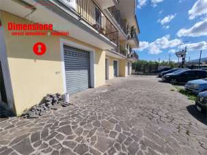 Affitto affitto, Nola