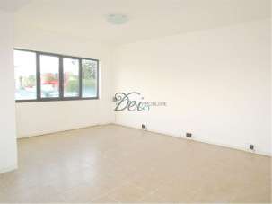 Affitto affitto, Porcari