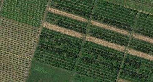 Vendita vendita, Vignola foto