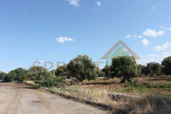 Vendita Terreni, Monopoli