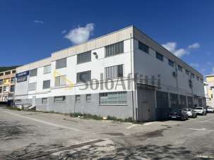 Affitto Bivani, Catanzaro