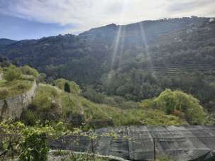 Vendita Monovano, Vallebona