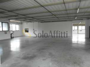 Renta Trivani, Vinci Renta Trivani, Vinci