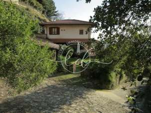 Affitto Esavani, Pietrasanta