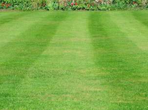 Vendita Case vacanza, Bari Vendita Case vacanza, Bari