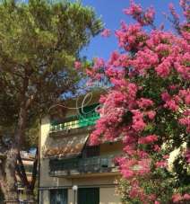 Renta Multivani, Massa Renta Multivani, Massa