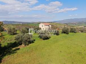 Sale Pentavani, Campagnatico Sale Pentavani, Campagnatico