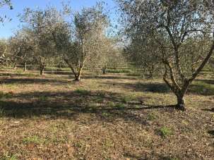 Vendita Altri immobili, Follonica