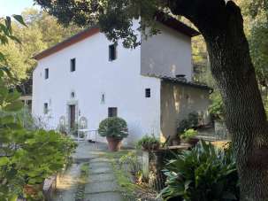 Vendita Bivani, Calenzano Vendita Bivani, Calenzano