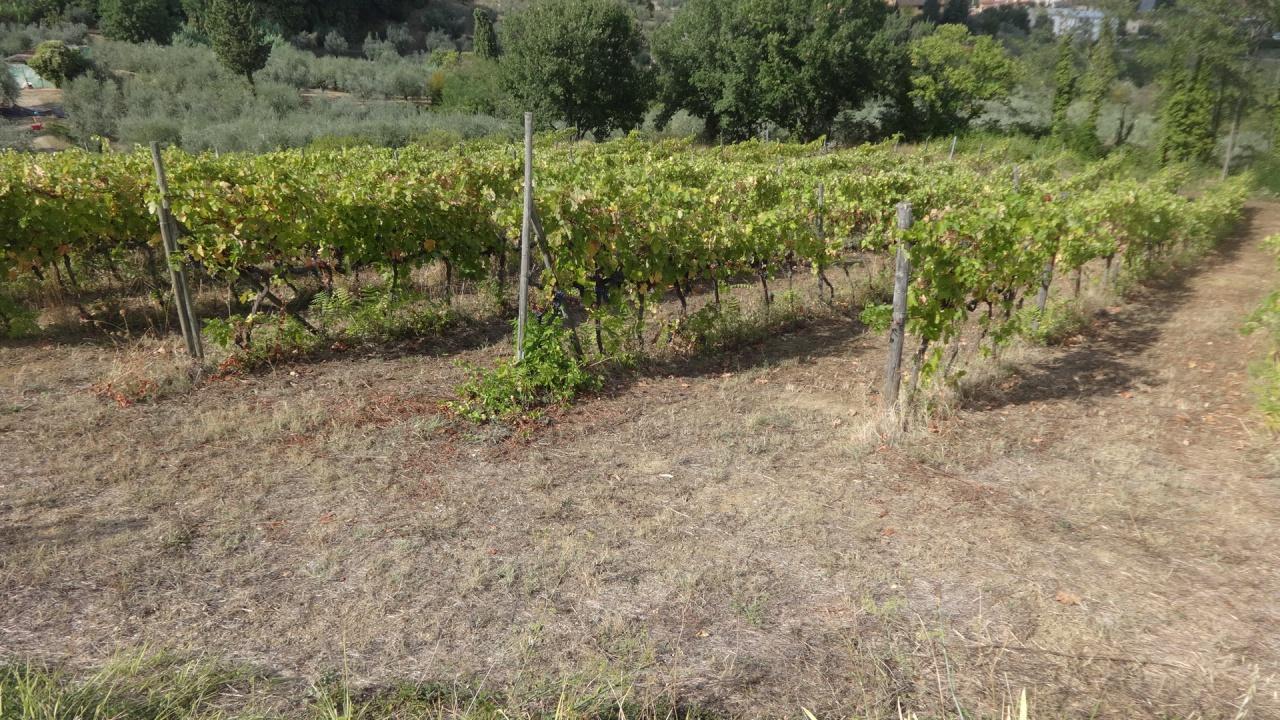 Vendita Altri immobili, Carmignano foto