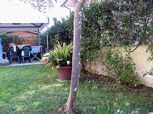 Vendita Pentavani, Massarosa Vendita Pentavani, Massarosa