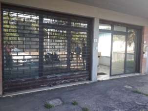 Affitto Trivani, Firenze Affitto Trivani, Firenze