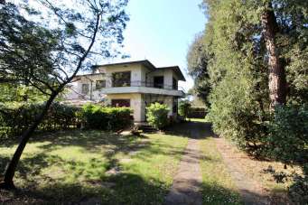 Venta Multivani, Pietrasanta