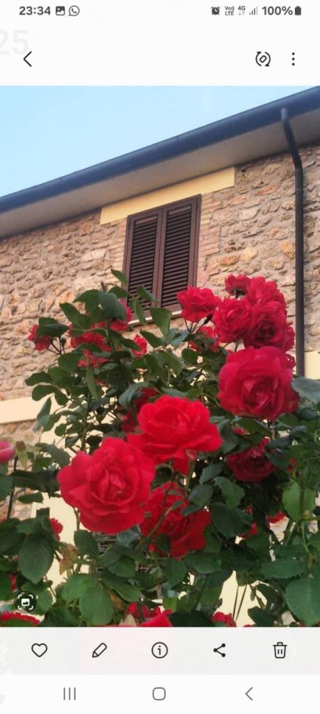 Vendita Altri immobili, Massa Marittima foto