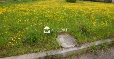 Vendita Case, Giavera del Montello