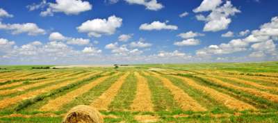 Vendita Monovano, Udine