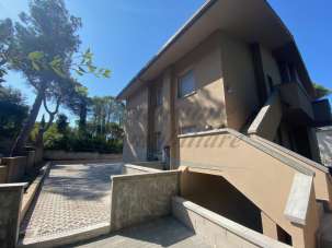 Vendita Trivani, Rosignano Marittimo Vendita Trivani, Rosignano Marittimo