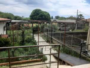 Vendita Pentavani, Vallecrosia