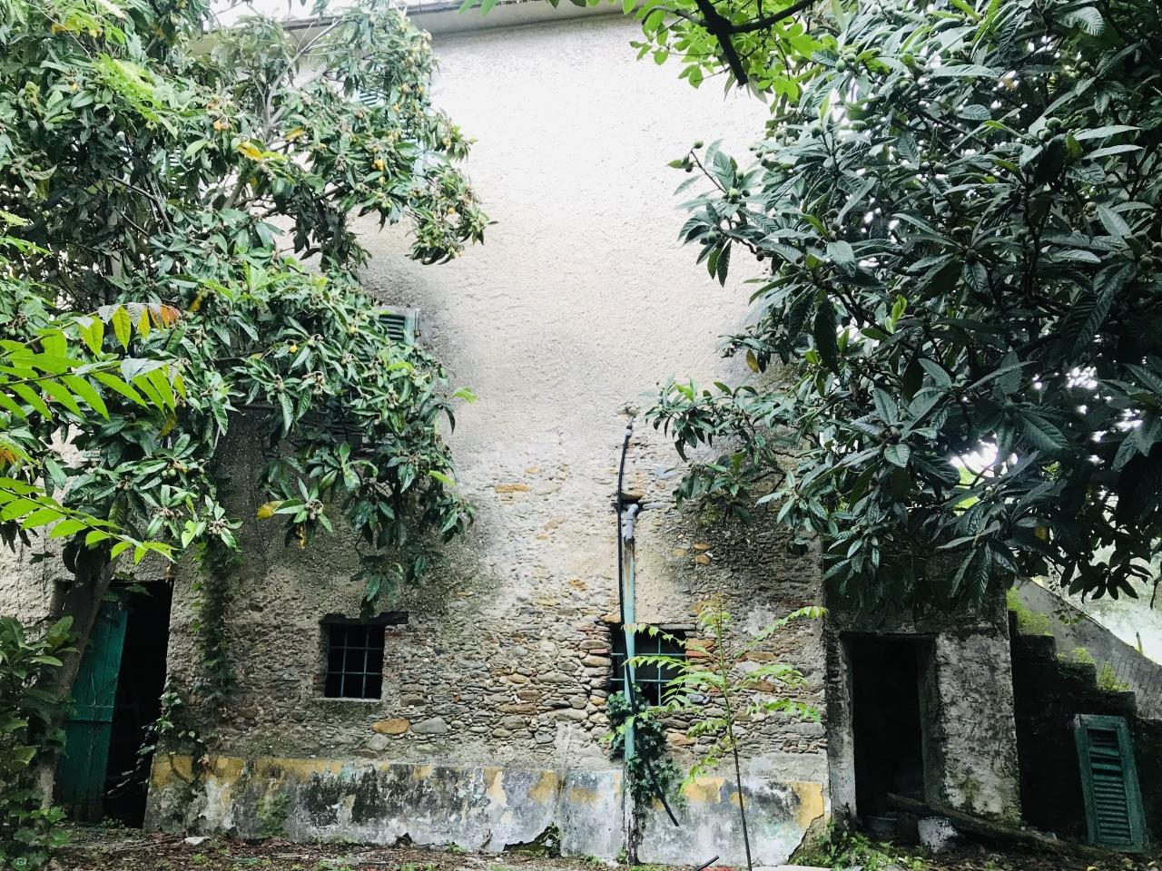 Vendita Quadrivani, Seravezza foto