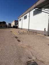 Affitto Trivani, San Giovanni Teatino Affitto Trivani, San Giovanni Teatino