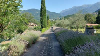 Venta Casas, Bagnone