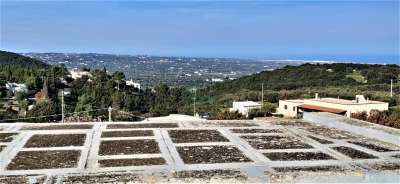 Vendita Eptavani, Monopoli