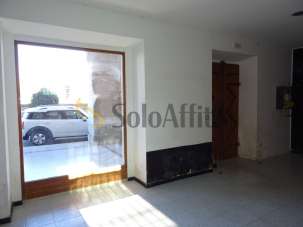 Affitto 1 vetrina, Senigallia