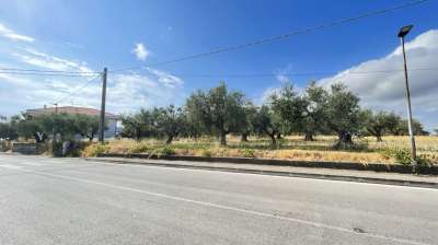 Vendita Terreni, Silvi