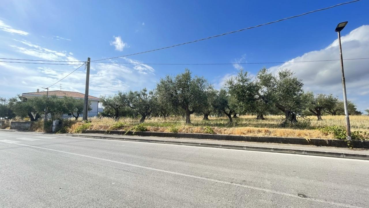 Vendita Terreni, Silvi foto