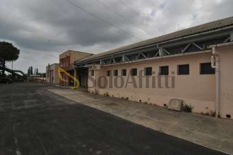 Affitto Bivani, Collesalvetti Affitto Bivani, Collesalvetti