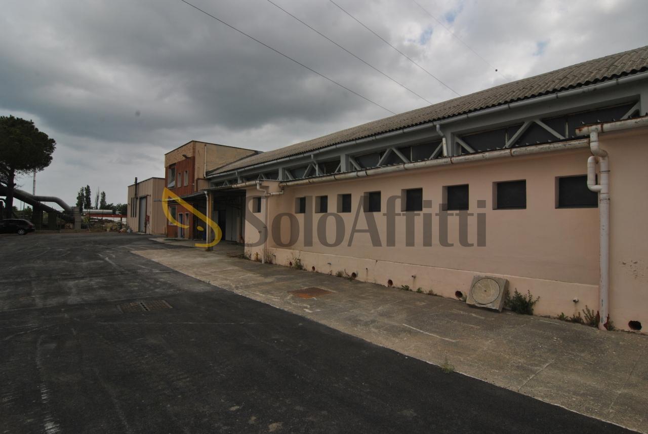 Affitto Bivani, Collesalvetti foto