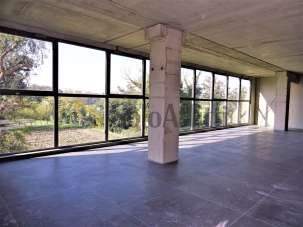 Affitto Monovano, Senigallia