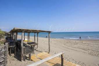 Affitto Esavani, Castiglione della Pescaia