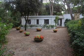 Affitto Pentavani, Castiglione della Pescaia