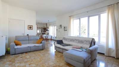 Vendita Multivani, Lucca Vendita Multivani, Lucca