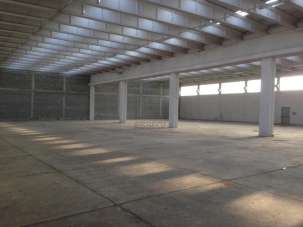 Affitto Pentavani, Capannori