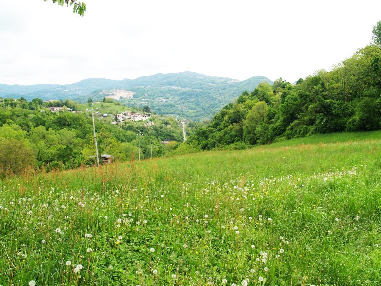 Vendita Terreni, Chiampo foto
