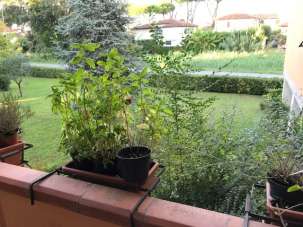 Venta Cuatro habitaciones, Camaiore