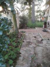 Vendita Multivani, Jesi Vendita Multivani, Jesi