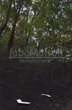 Vendita Terreno Agricolo, Gemonio Vendita Terreno Agricolo, Gemonio