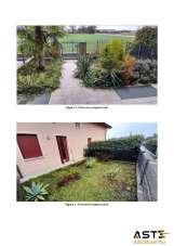 Vendita Esavani, Cassola