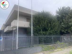 Renta Trivani, Arluno Renta Trivani, Arluno