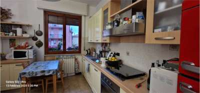 Venta vendita, Spotorno