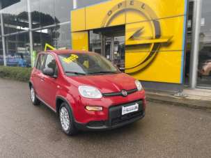 FIAT Panda Elettrica/Benzina 2024 usata