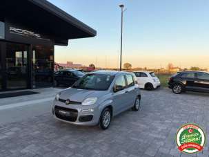 FIAT Panda Benzina/GPL 2018 usata, Ravenna FIAT Panda Benzina/GPL 2018 usata, Ravenna