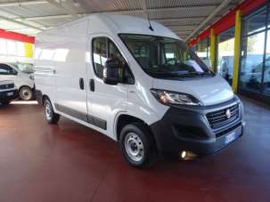FIAT Ducato Diesel 2021 usata, Treviso FIAT Ducato Diesel 2021 usata, Treviso