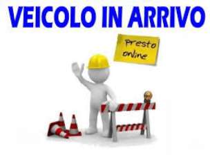 FIAT Panda Benzina 2015 usata, Bergamo